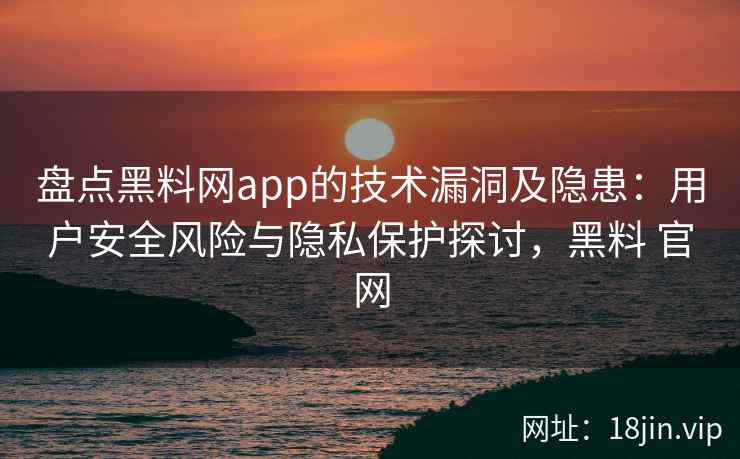 盘点黑料网app的技术漏洞及隐患：用户安全风险与隐私保护探讨，黑料 官网