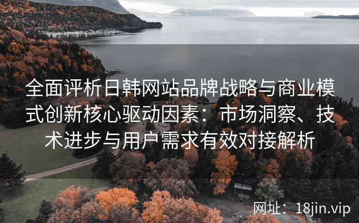 全面评析日韩网站品牌战略与商业模式创新核心驱动因素：市场洞察、技术进步与用户需求有效对接解析