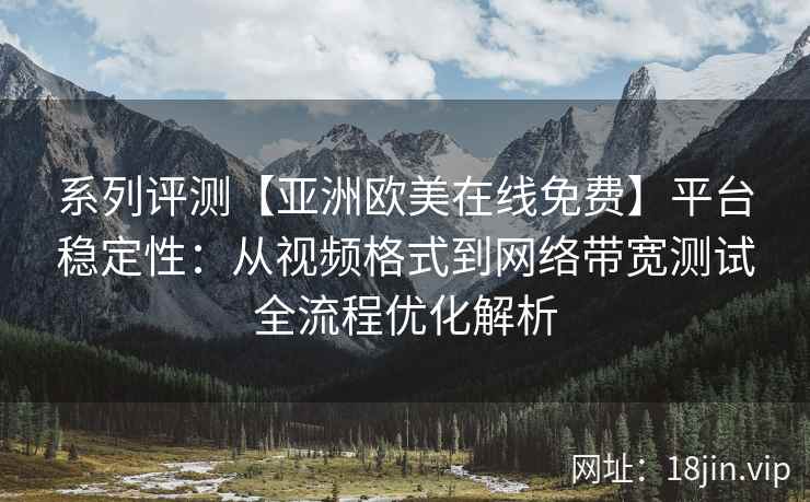 系列评测【亚洲欧美在线免费】平台稳定性：从视频格式到网络带宽测试全流程优化解析