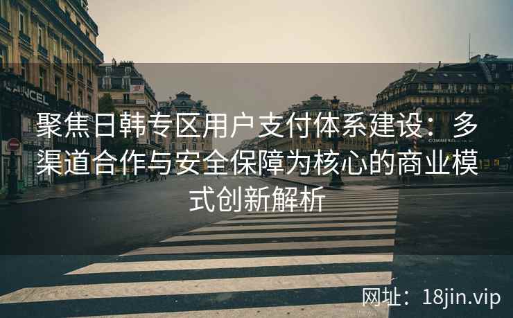 聚焦日韩专区用户支付体系建设：多渠道合作与安全保障为核心的商业模式创新解析