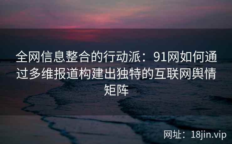 全网信息整合的行动派：91网如何通过多维报道构建出独特的互联网舆情矩阵