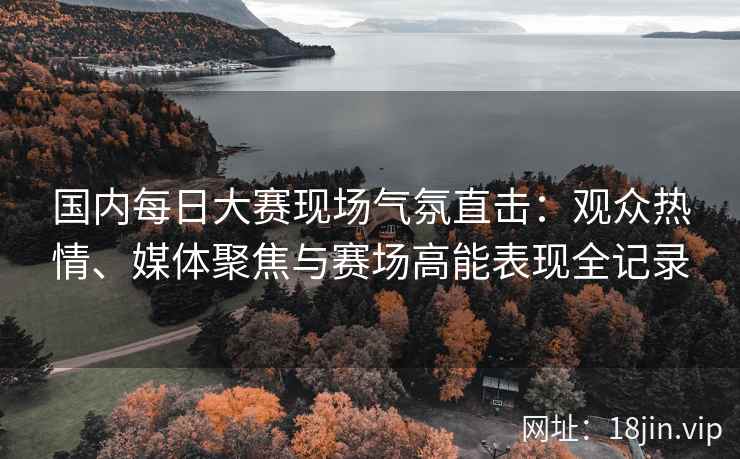 国内每日大赛现场气氛直击：观众热情、媒体聚焦与赛场高能表现全记录