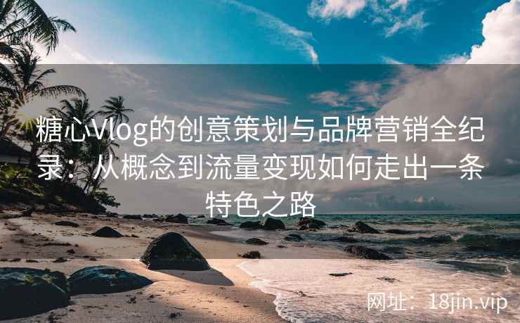 糖心Vlog的创意策划与品牌营销全纪录：从概念到流量变现如何走出一条特色之路