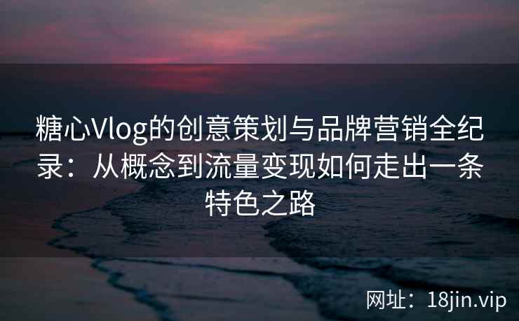 糖心Vlog的创意策划与品牌营销全纪录：从概念到流量变现如何走出一条特色之路